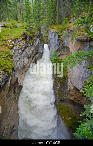 Vista del potente cascata nel canyon, il Parco Nazionale di Jasper, Alberta, Canada Foto Stock