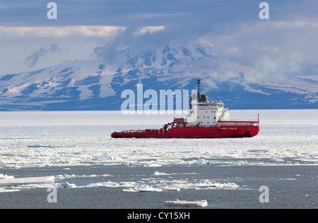 Rompighiaccio russa Vladimir nave Ignatyuk la rottura di un percorso nel mare di ghiaccio in Antartide, Ross Island, McMurdo Sound, Antartide Foto Stock