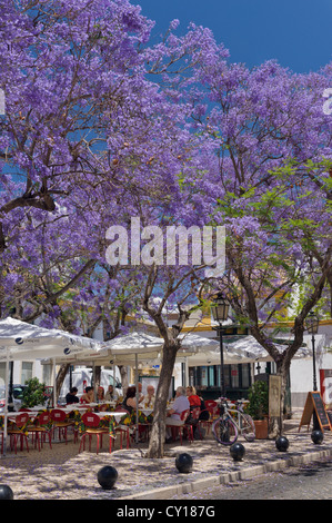 Il Portogallo, Algarve, Faro, ristorante all'aperto in una piazza della città vecchia con alberi di jacaranda in fiore Foto Stock