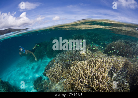 Lo snorkeling a Coral Reef, Raja Ampat, Papua occidentale, in Indonesia Foto Stock