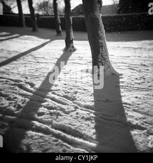 Ombre sulla neve fatta da alberi in inverno Foto Stock