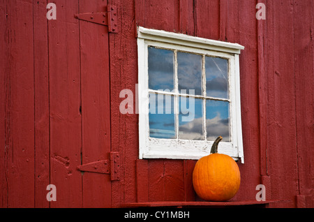 Primo piano di una zucca giardino d'autunno e un vintage rosso fienile porta anteriore autunno finestra soglia a Monroe Township, New Jersey Farm, USA display Foto Stock