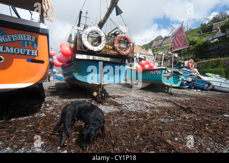 Barche da pesca sopra l'acqua alta linea a Cadgwith Cove, penisola di Lizard, Cornwall Foto Stock