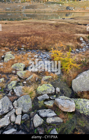 L'emissario del lago di Dre, Gran Paradiso NP, Piemonte, Italia Foto Stock