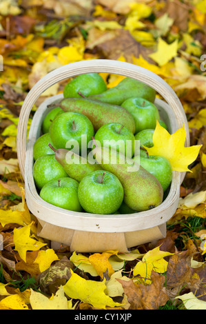 Le mele e le pere fresche frutto raccolto in autunno raccolti in un trug in Legno di caduto foglie Foto Stock