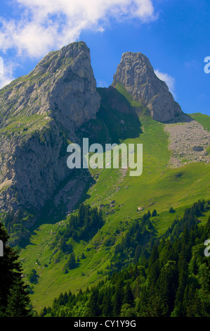 Les Jumelles (i gemelli) vette delle Alpi Svizzere Foto Stock