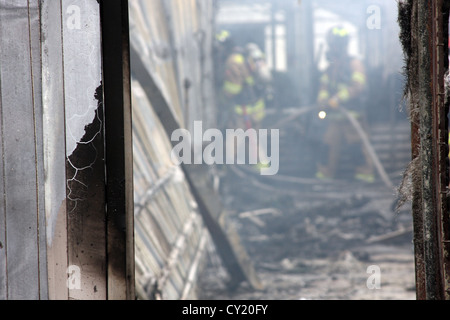 Immagine sfocata di vigili del fuoco all'interno del bruciato edificio serra sul fuoco Foto Stock