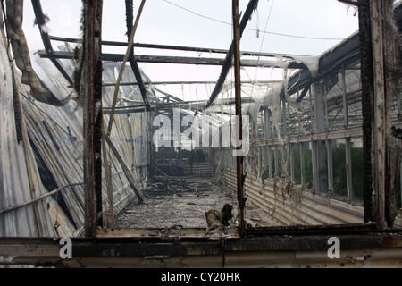 Una serra bruciato edificio con plastica fusa Foto Stock