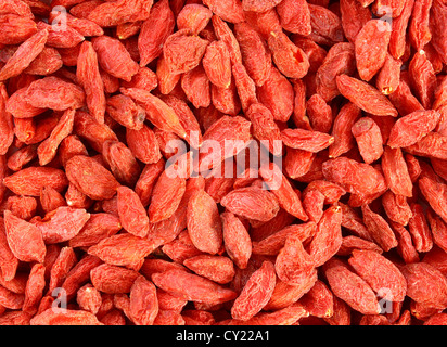 La texture di un mazzetto di red goji bacche Foto Stock