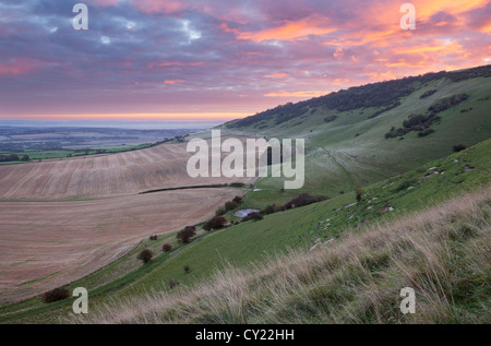Sunrise over Windover Hill nel South Downs National Park Foto Stock