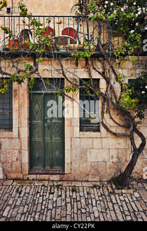 Vecchia porta di casa Foto Stock