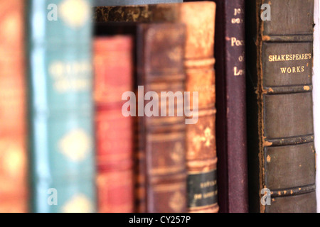 Libri allineati Foto Stock