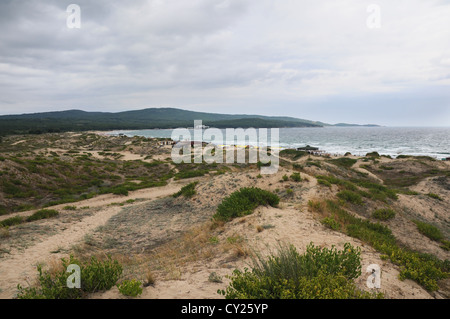 Le dune di sabbia in Primorsko, il litorale bulgaro del Mar Nero Foto Stock