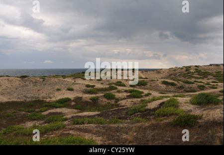 Le dune di sabbia in Primorsko, il litorale bulgaro del Mar Nero Foto Stock