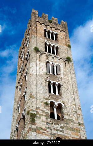San (St San Frediano nella Basilica di Lucca Toscana Italia Foto Stock