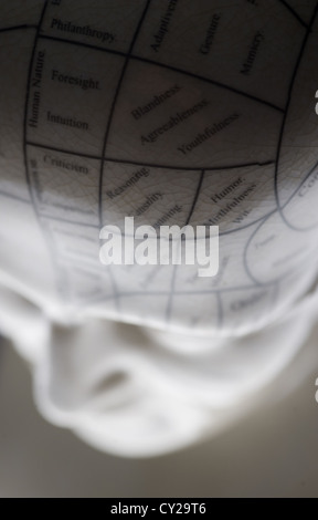 Si tratta di una scultura di una testa che mostra le linee di phrenology. Foto Stock