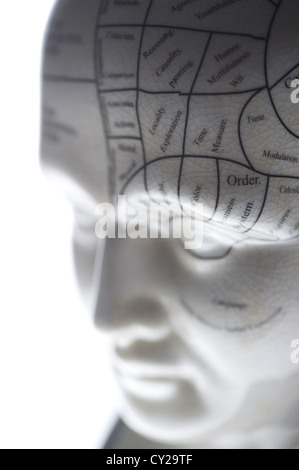 Si tratta di una scultura di una testa che mostra le linee di phrenology. Foto Stock