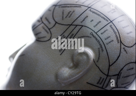 Si tratta di una scultura di una testa che mostra le linee di phrenology. Foto Stock