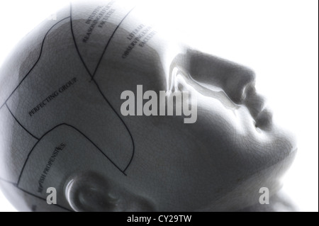 Si tratta di una scultura di una testa che mostra le linee di phrenology. Foto Stock