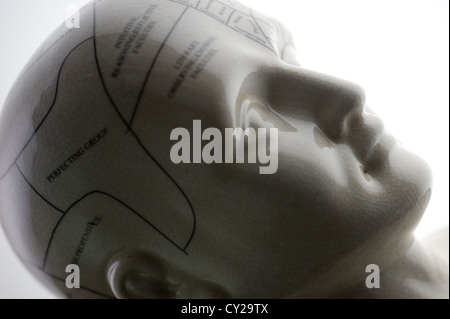 Si tratta di una scultura di una testa che mostra le linee di phrenology. Foto Stock