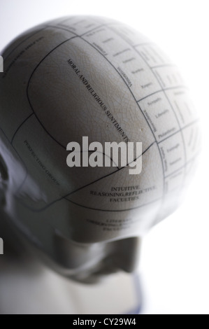 Si tratta di una scultura di una testa che mostra le linee di phrenology. Foto Stock