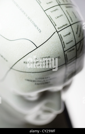 Si tratta di una scultura di una testa che mostra le linee di phrenology. Foto Stock