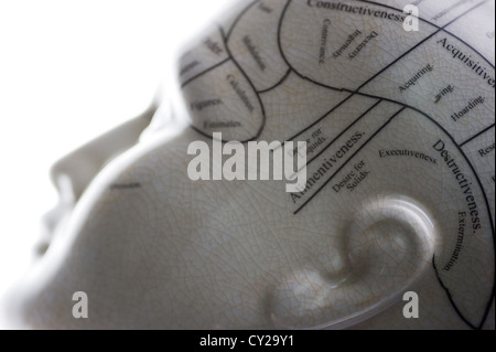 Si tratta di una scultura di una testa che mostra le linee di phrenology. Foto Stock