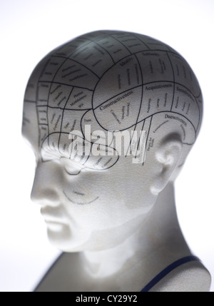 Si tratta di una scultura di una testa che mostra le linee di phrenology. Foto Stock