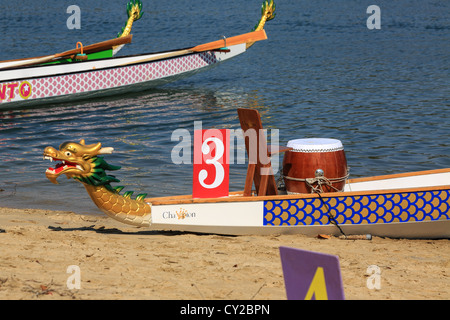 Dragon Boat, recipiente usato in dragon boat racing che mostra il dettaglio della nave Foto Stock