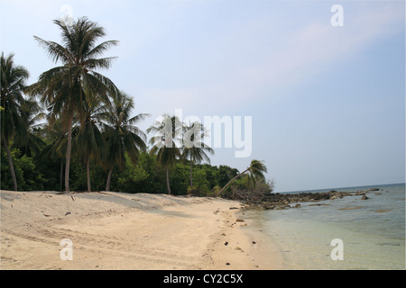 Sulla spiaggia di Selingan Island, Turtle Islands Park, il mare di Sulu, Sandakan district, Sabah Borneo, Malaysia, sud-est asiatico Foto Stock