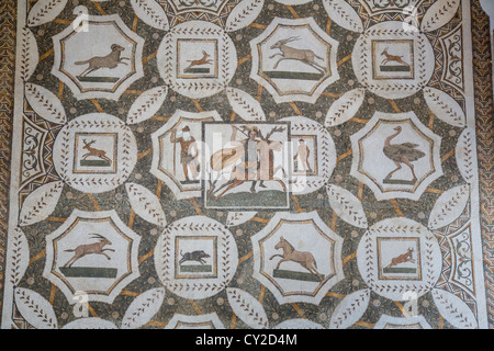 Mosaico nel Museo Bardo di Tunisi Tunisia Foto Stock