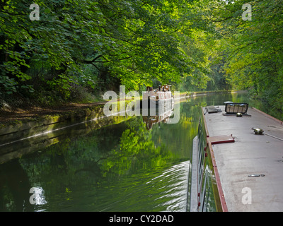Grand Union Canal in Berkhampsted, Hertfordshire Foto Stock