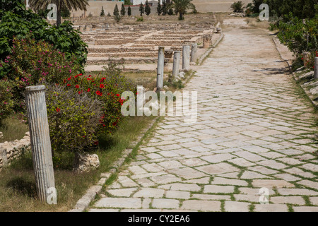 Strada romana presso il Museo Archeologico di El Jem Tunisia Foto Stock