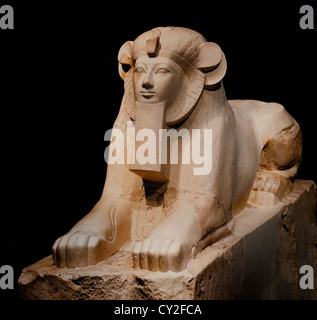 Maned Sphinx Hatshepsut tempio del faraone Regno nuovo Dynasty 18 1473-1458 A.C. Tebe Deir el-Bahri Senenmut Quarry egiziano Egitto Foto Stock