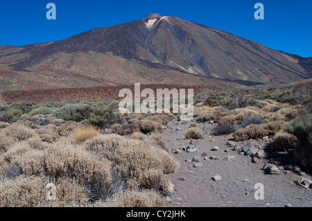 Tenerife vulcano Teide arido parco nazionale rock Foto Stock