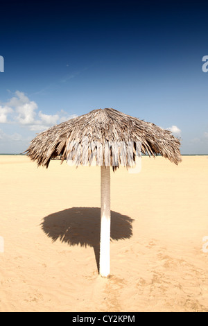 Ombrello nel deserto sotto il cielo blu Foto Stock