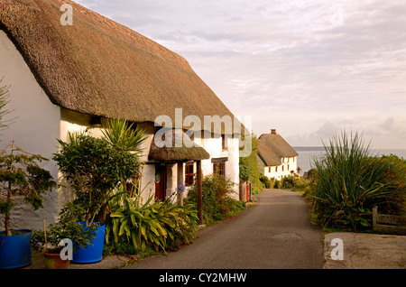 Un caratteristico tetto di paglia cottage in chiesa Cove sulla penisola di Lizard in Cornovaglia, England, Regno Unito Foto Stock