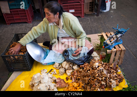 Funghi selvatici Forager al mercato Giamaica in Colonia in Giamaica a Venustiano Carranza borough di Città del Messico Foto Stock