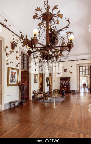 Il lampadario fatto di corna di cervo in la Stanza della Caccia. Mafra National Palace, del convento e della Basilica in Portogallo. Architettura Barocca. Foto Stock