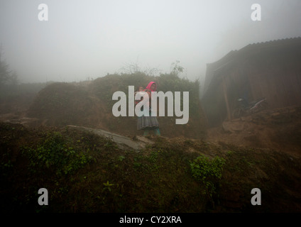 Fiore donna Hmong portando la figlia sulla sua schiena, SAPA, Vietnam Foto Stock