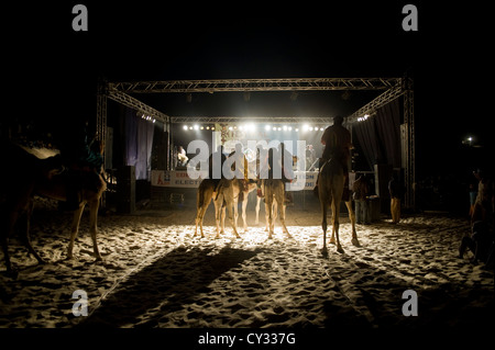 I cammelli con nomad piloti davanti a stadio a 'Festival au désert', Timbuktu, Mali Foto Stock