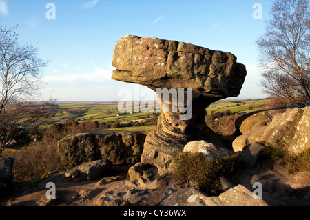 Brimham rocce naturali di bilanciamento formazioni rocciose nel North Yorkshire Dales, i bambini attivi e i turisti in visita presso il National Trust sito con holidayin Foto Stock