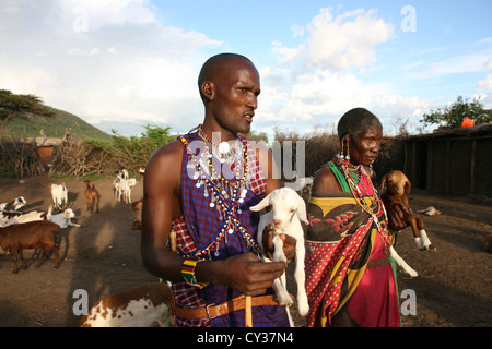 Tribù Masai in Kenyafarming, agriturismo, agricoltura, capra, capre, pecore, animali di allevamento, Herder, imbrancandosi Foto Stock