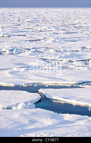 Pancake del ghiaccio, Mare di Groenlandia, la costa orientale della Groenlandia Foto Stock