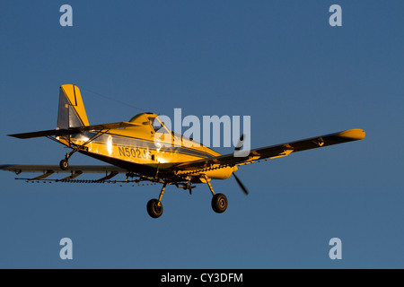 Un trattore aria crop duster spray mandorli nella valle del Sacramento della California. Foto Stock