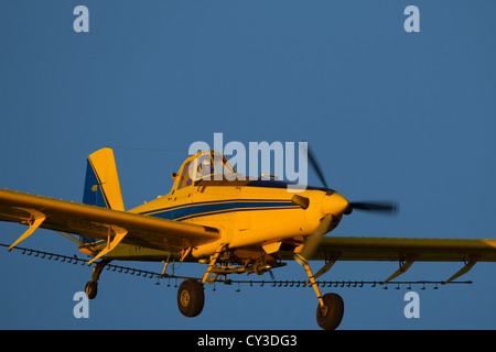 Un trattore aria crop duster spray mandorli nella valle del Sacramento della California. Foto Stock