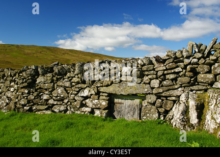 Muro di pietra arenaria con un cancello di pecore su pascolo di montagna fuori Bala nel Galles del Nord, Regno Unito Foto Stock