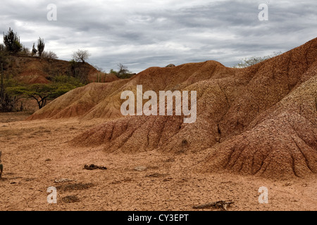 Tatacoa deserto Colombia semi-arido El Cardon area - comune Villaveija, Dipartimento Huila, Colombia Foto Stock