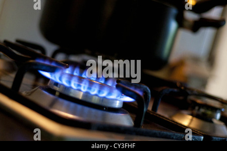 Londra, Regno Unito. 2012. (Nella foto) accesa fornelli a gas cooker. Credito Foto: Peter Barbe / Alamy Foto Stock