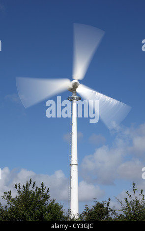 Endurance E-3120 50kW turbine eoliche visto qui in North Norfolk insieme contro un cielo blu chiaro in campagna Regno Unito con il movimento. Foto Stock